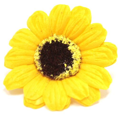 Girasole di Sapone - Bocciolo