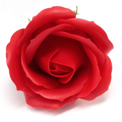 Rosa di Sapone - Bocciolo