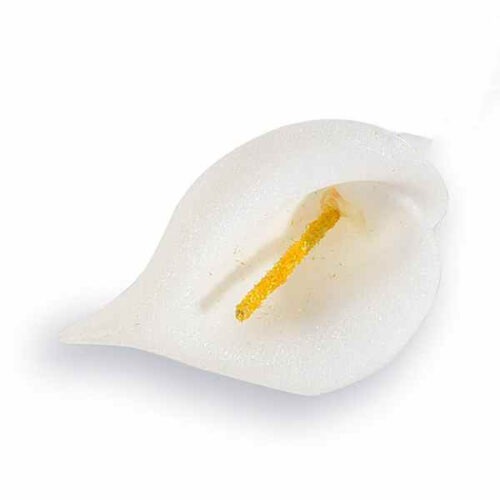 Calla Artificale