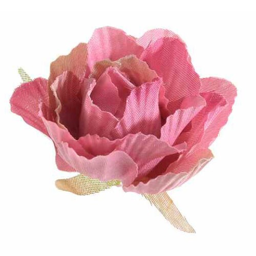 Rosellina Rosa Art.