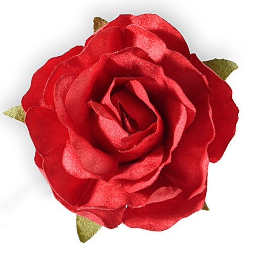 Rosellina Rossa Art.